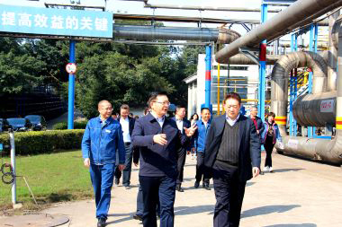 瀘州市委副書記市長(zhǎng)楊林興率隊(duì)到瀘天化調(diào)研