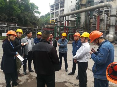 四川省應急管理廳督查公司危險化學品專項整治工作