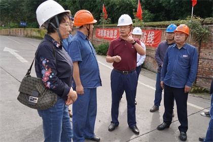 瀘天化集團公司黨委書記譚光軍一行來我公司開展節(jié)前安全大檢查