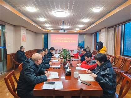 瀘天化股份公司領導班子召開黨史學習教育專題民主生活會