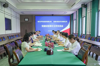 云南水富云天化有限公司到我公司開展黨建紀檢審計工作經(jīng)驗交流